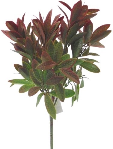 Gekleurd blad BAY LEAF BUSH GREEN/BROWN 33cm   voor boeketten of corsages