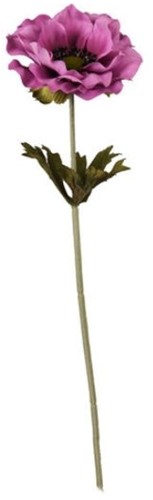 Anemoon Plum +/-  37 cm / st zijdebloem