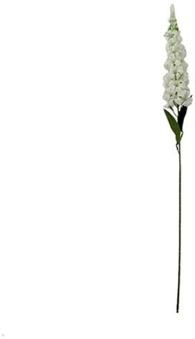 DELPHINIUM IVORY 72cm  / st zijdebloem bloomon