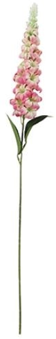 DELPHINIUM Roze / ivory72cm  / st zijdebloem bloomon