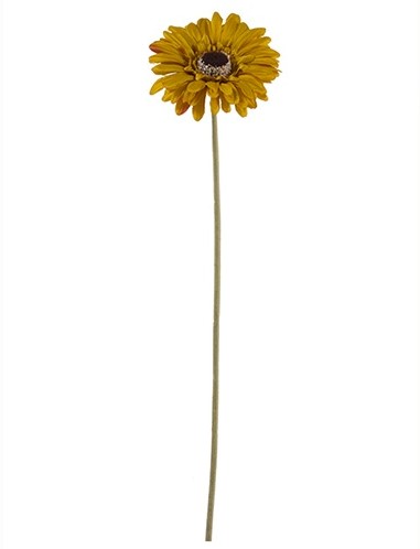 Gerbera 53 cm Mosterd Okergeel Gerbera