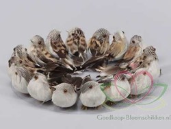 Vogeltjes LICHTBruin natuurlijk 16 stuks van 9 cm. Vogeltjes naturel