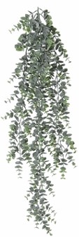 Eucalyptus hangplant l80cm. header Prachtige hanger