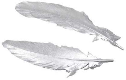Ganzenveren Zilver 16-18cm Pak+/-12st Veren Ganzeveer
