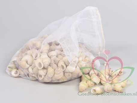 Umachi schelpen naturel, 250 gram