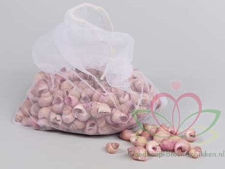 Umachi schelpen zachtroze, 250 gram