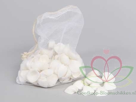 White Chippy schelpen 500 gram