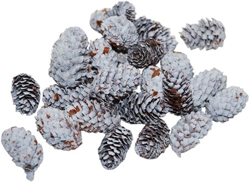 Pinecone Mini Spruce White Wit 180gr mini dennenappeltjes