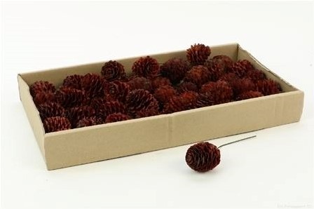 Gladrum op draad doos 50st naturel  Prachtig