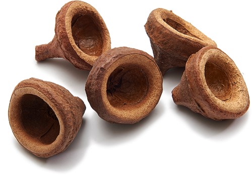 Chapeuzinho 5-6 cm  / zak 10 st leuk voorjaars artikel