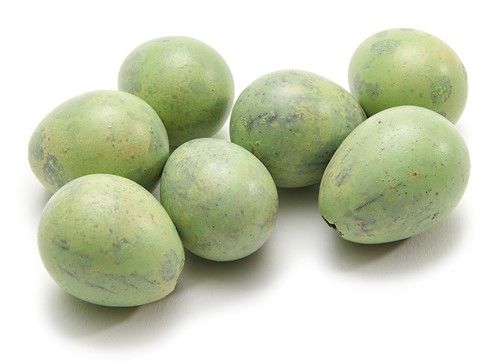Actie Kwarteleitjes Matcha groen doos  60 st  Leeggeblazen voor decoratie