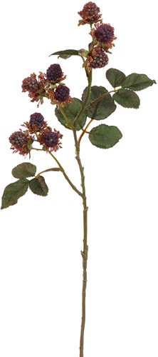 Bramentak MULBERRY SPRAY 54CM PURPLE Merk: PURE   Zijde 