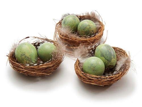 Nestjes met 2 kwarteleitjes+veertjes Matcha Groen DOOS 6 nestjes   Vogelnest kwarteleitjes