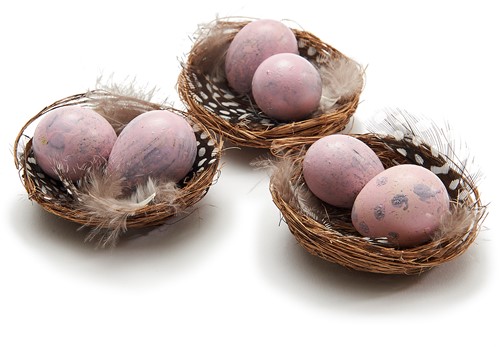 Nestjes met 2 kwarteleitjes+veertjes Nude pink DOOS 6 nestjes   Vogelnest kwarteleitjes