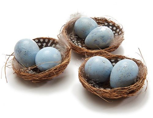 Nestjes met 2 kwarteleitjes+veertjes Hemelsblauw DOOS 6 nestjes   Vogelnest kwarteleitjes