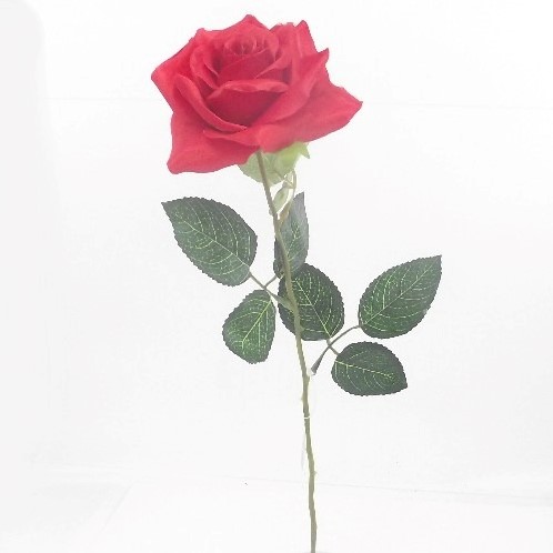 Rode Open roos Valentijnroos  Zijde/ stuk SINGLE OPEN ROSE RED met blad 55 cm