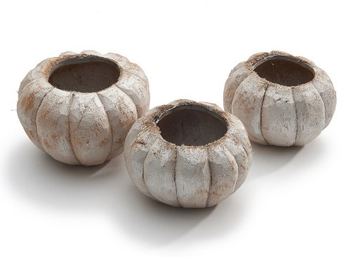 Coco Pumpkin Frosted [ Zak 3 stuks ]