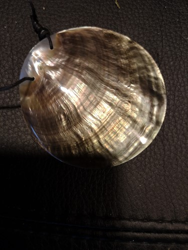 Actie Gepolijst Nautilus met gaatje voor hanger of sieraad/ketting Uniek stuk Schelp 