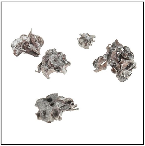 Curly pods Antique Silver-wash 50 gram kleinverp Curly pods Antique Silver