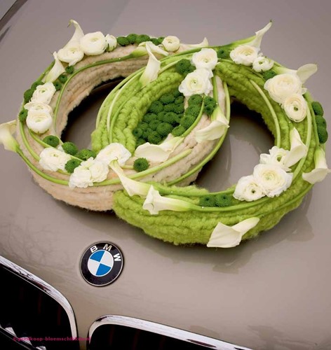 Auto dubbelringen oase voor verse bloemen 48x32 48 x 32cm. met zuignappen