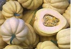T Sanders Sweet potato 