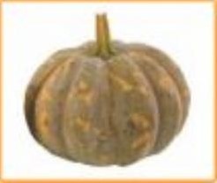 Crowning F1 Moschata