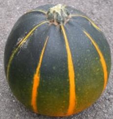 Eightball-ch F1