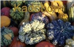Cadeaubon Kadobon - kadobon 35 euro