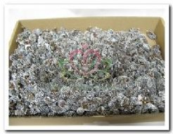 Birch Pine Frosted doos 500 gram Birch Pine Fros