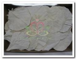 Cobra blad gebleekt doos +/- 100 Cobra blad gebl