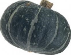Dolcevera Ebisu F1 kabocha