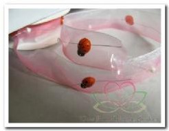 Lint organza rose met lieverheersbeestjes 25mm / r Lint organza ro
