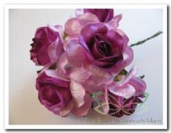 Mulberry roos Purple heart 5 cm./pak Mulberry roos P