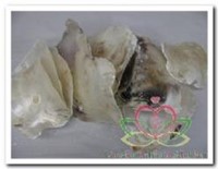 Placuna Placenta naturel 1 kilo