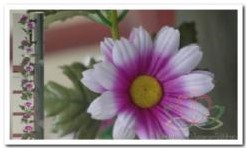 Gerbera zijde bloemen guirlande Wit/paars Gerbera zijde