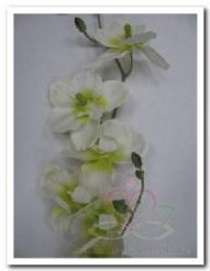 Orchidee Wit -Groen +/- 7 bloemen / tak Orchidee Wit -g