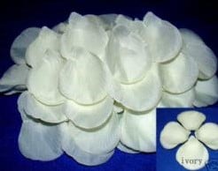 Blad zijde blaadjes Ivory rozenblaadjes / BIG PACK 1000 Blad zijde blaadjes Ivory