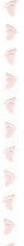 Lint Organza transparant met rose voetjes / rol 20 Lint Organza tr