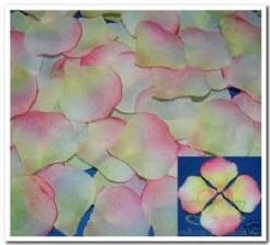 Blad zijde blaadjes geelrose pastel rozenblaadjes Blad zijde blaadjes geelr