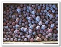 Estrelinia los +/-1000 gr Estrelina los p