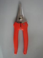 Bloemenschaar middel met lock 15 cm. oranje Bloemenschaar m