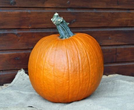 Apollo F1 PMT Sterke Halloweenpompoen