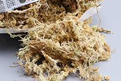 Veenmos Spaghnum 6L Gedroogd Spaghnum voor hydrocultuur, bloemschikken en stekjes opkweken