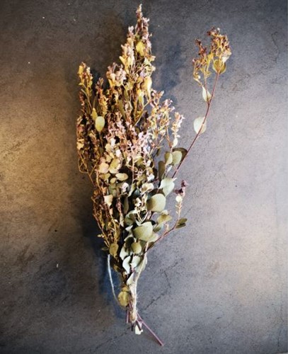 Bosje Eucalyptus gedroogd DHZ [ zonder accesoires] gedroogd