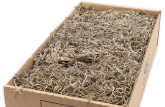 Actie Tillandsia naturel  Forestmos Junglemos 200- 350 Tillandsia