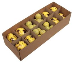 Actie 32 Eieren mix 8 kippeneieren+24 kwarteleitjes Geel leeggeblazen voor decoratie