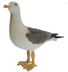 Zeeuwse Producten