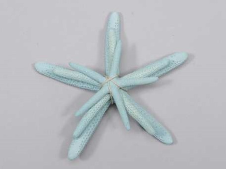Zeester Starfish blauw, +/- 5-10 cm. set van 3 stuks