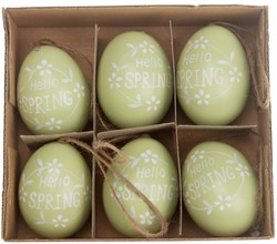 Kippeneieren Decorated Groen Hello Spring 6 stuks Kippeneieren beschreven