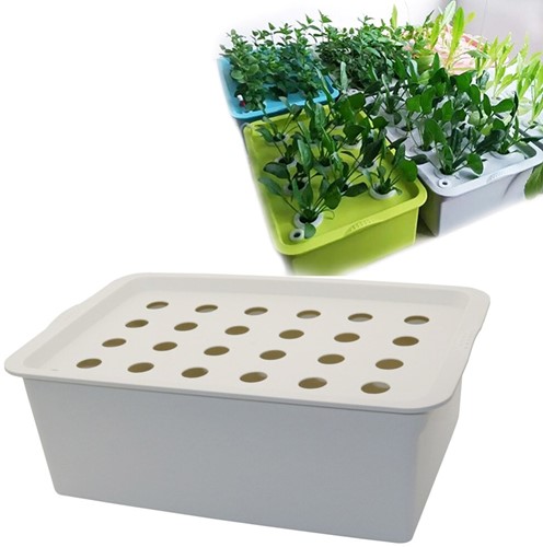 Hydrocultuur Kit , Propagator 24 gaten, zonder pomp stekken en zaaien op water